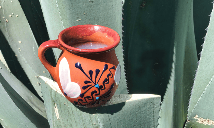 Conoce el origen de la palabra 'pulque'