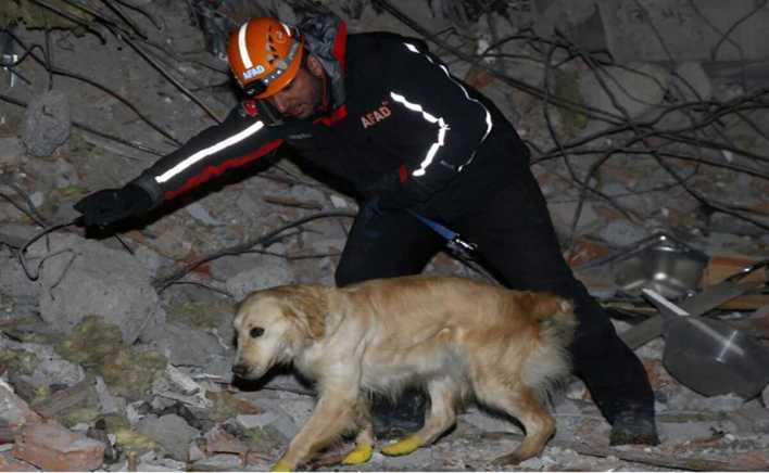 Kopuk rescató a cinco personas en Turquía, pese a estar lastimado